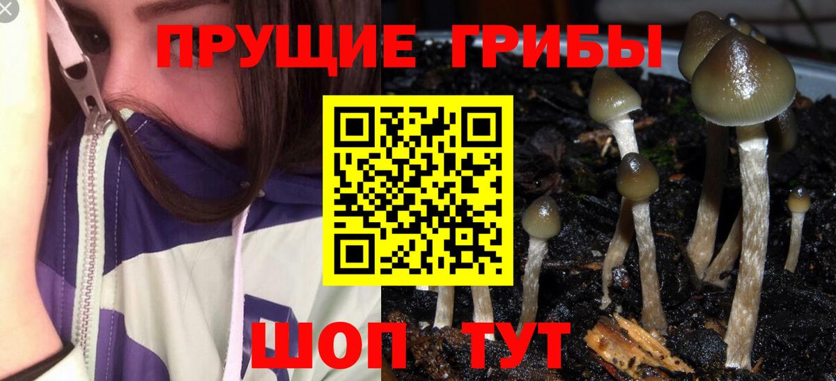 дарнет шоп  Вход с VPN  Копейск  Галлюциногенные грибы мицелий 